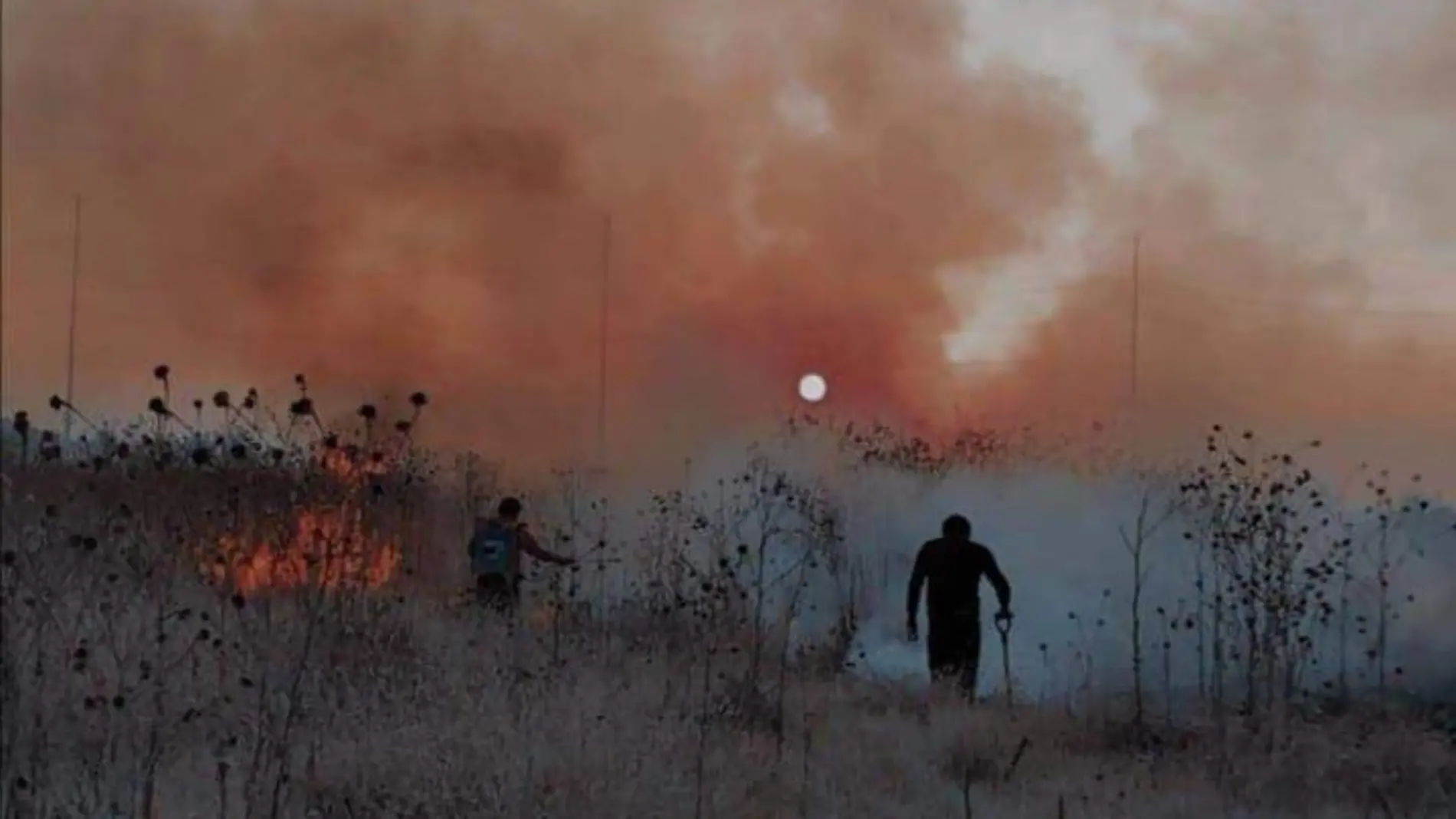 incendio bicentenario